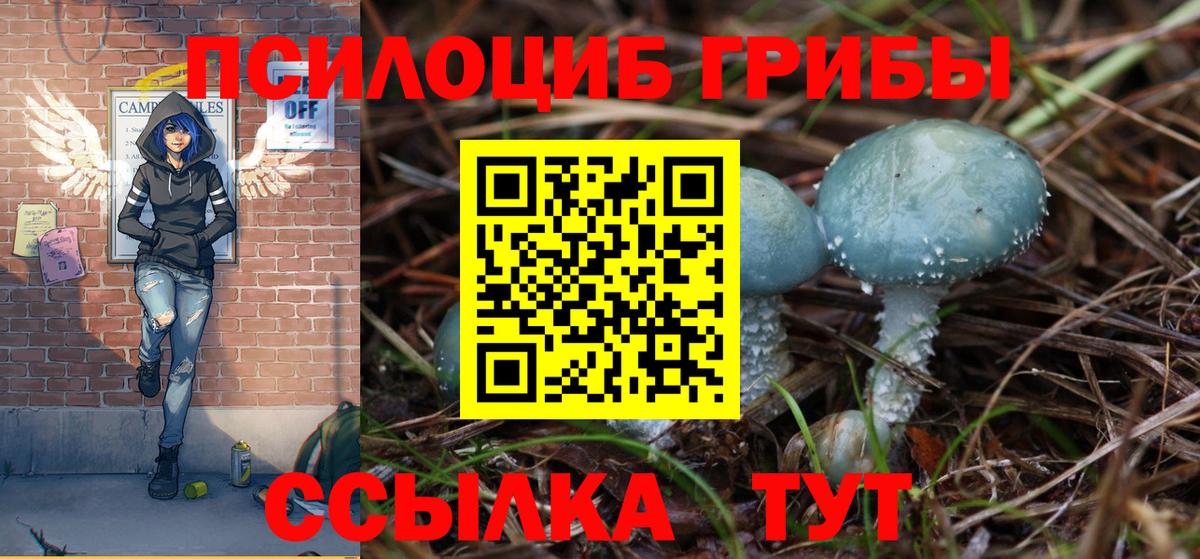 Псилоцибиновые грибы ЛСД  Галлюциногенные грибы Magic Shrooms  Чусовой  Вход с VPN 